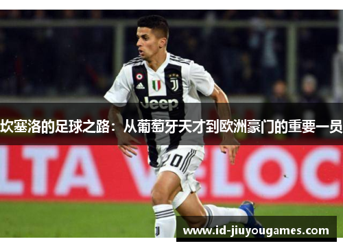 坎塞洛的足球之路：从葡萄牙天才到欧洲豪门的重要一员