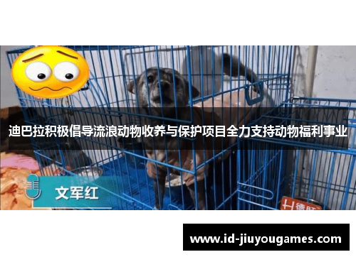 迪巴拉积极倡导流浪动物收养与保护项目全力支持动物福利事业